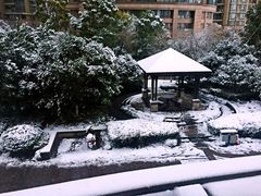 -新湖明珠城