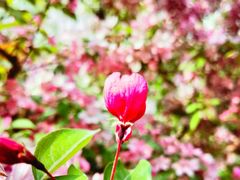 -元大都城垣遗址公园