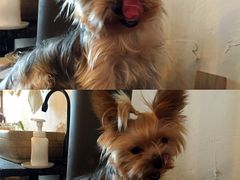 -春风十里咖啡馆