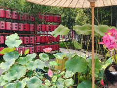 -中卫御苑福膳·养生局(圆明园店)