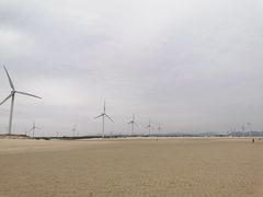 -长江澳风力发电景观区