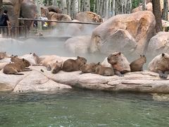 -北京野生动物园