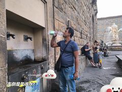 -圣母百花大教堂穹顶