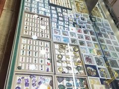 -花鸟鱼虫鲜花绿植市场(玉泉路店)