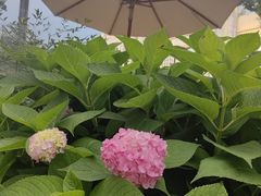 -比斯特上海购物村精品奥特莱斯