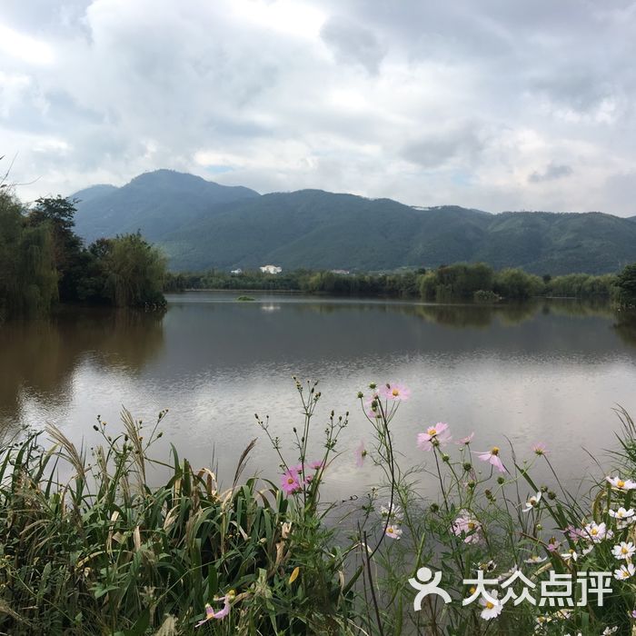 煙雨鷺洲溼地公園