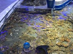-澜悦港海鲜体验主题餐厅