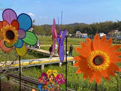 -红山村