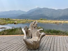 -腾冲北海湿地