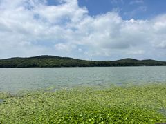 -水上明月·湖景餐厅