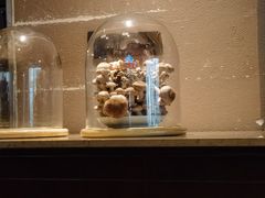 -捞王锅物料理(四川北路店)