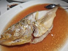 陈酿花雕深海大黄鱼-苏浙汇(古北店)