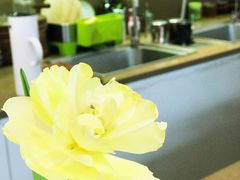 -EVERNAKED裸蛋糕(SOHO天山店)