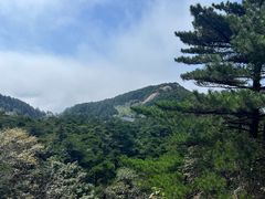 -新安江山水画廊风景区