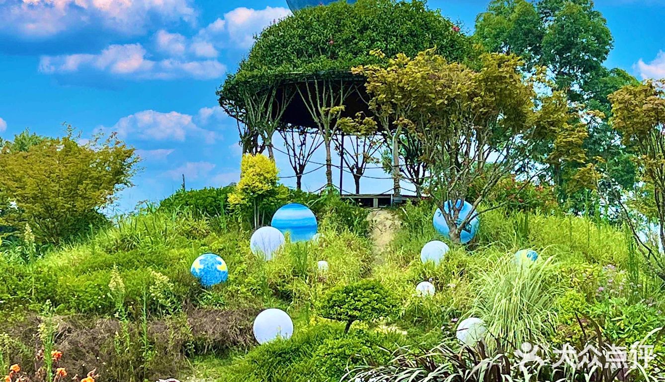 成都周边游‼️40000平现实版绿野仙踪🖼 .