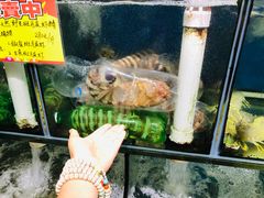 -蚝专家(北滘店)