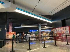 -奥斯卡升龙国际影城(RealD Cinema)