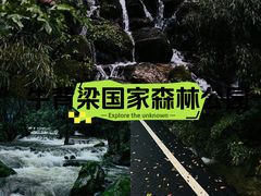 -牛背梁国家森林公园