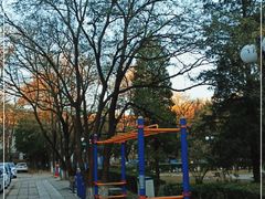 -北京大学燕东园