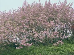 -宜兴龙背山森林公园