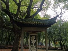 -兰亭风景区