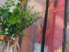 -金色印象·HiFi影音·按摩足疗(南滨印象店)