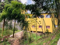 -东天目山风景区