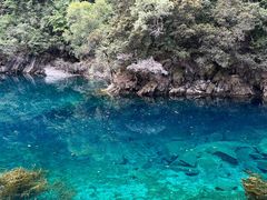 -叠溪松坪沟景区