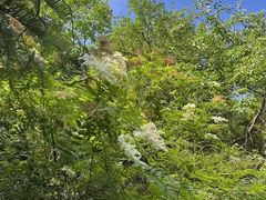 -秦岭终南山世界地质公园翠华山景区