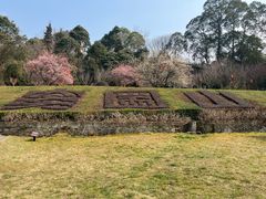 -窦圌山风景区