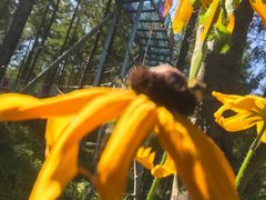 -本溪老边沟风景区