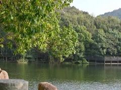 -白马涧龙池景区