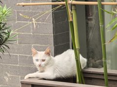 -高淳老街