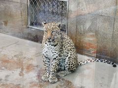 -西安秦岭野生动物园