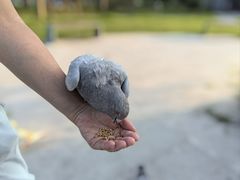 -中国翰园碑林