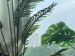 -肆季荟·SEASONS(江苏电视塔店)