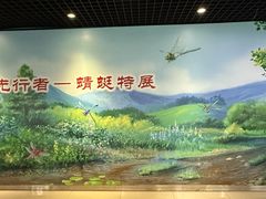 -上海昆虫博物馆