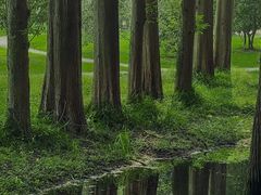 -杭州植物园