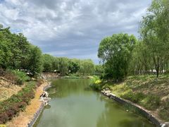-大兴滨河森林公园