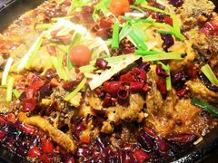 -老板恋上鱼(恒隆广场店)