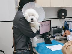 -萌兽医馆·绝育·24小时内科·宠物医院(德胜店)