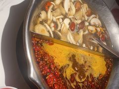 -九鼎轩脆毛肚火锅(三钢里店)