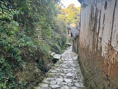 -杨家堂村