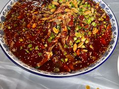 -铁山坪森林公园