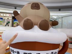 -深圳龙华星河COCO City(民治店)
