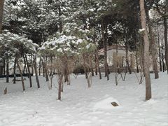 -长辛店二七公园