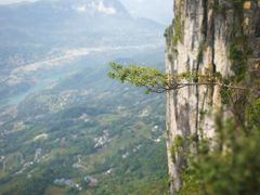 -蝶舞清江·恩施云顶景区(黄鹤峰林)