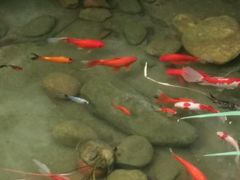 android_upload_pic-颐而康·按摩·艾灸·足疗(汽车东站店)