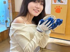 -珠海海泉湾度假区