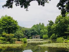 -杭州植物园